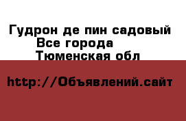 Гудрон де пин садовый - Все города  »    . Тюменская обл.